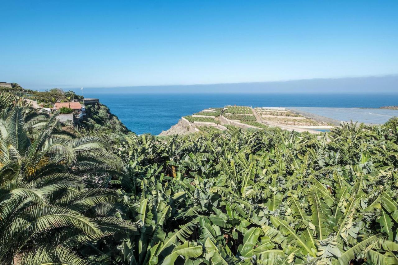 La Guancha Finca Alejandrina מראה חיצוני תמונה