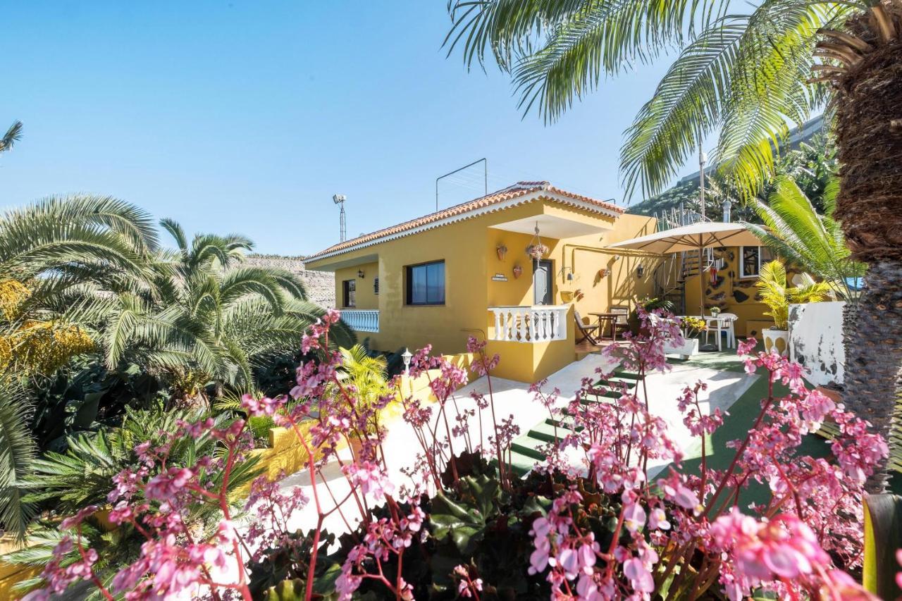 La Guancha Finca Alejandrina מראה חיצוני תמונה